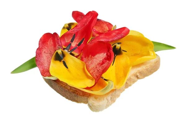 Smażony chleb tostowy z płatkami tulipanów wiosennych-egzotyczne jedzenie Isol — Zdjęcie stockowe