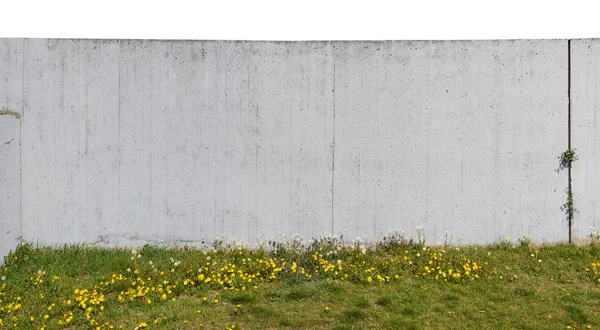 Graue hohe Betonmauer auf einem Hügel mit blühenden Löwenzahn — Stockfoto