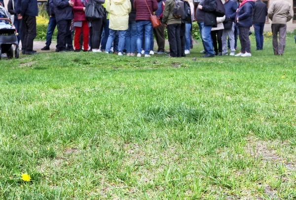 A group of tourists standing on the grass lawn — Stock Photo, Image