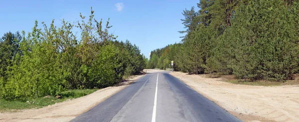 New asphalt highway in the pine forest near the city — Stock Photo, Image