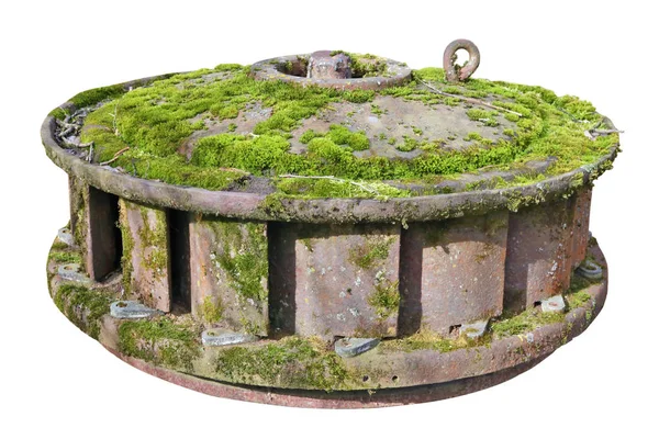 Rostige Eisenturbine aus einer alten Wassermühle, überwuchert mit grünen m — Stockfoto