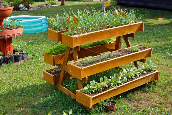 Homemade rural  mobile wooden vegetable beds  