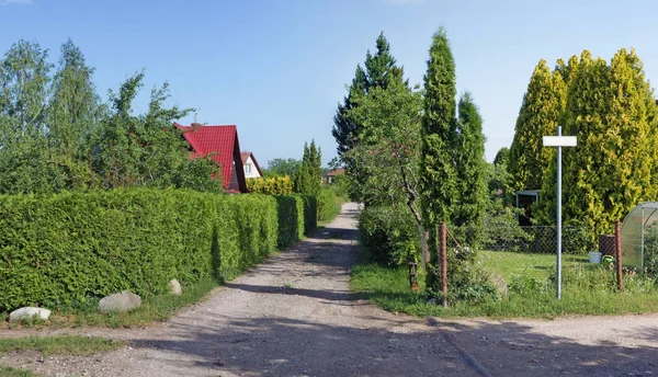 Перспективный вид на дорогу и зеленые изгороди в стандартном пуховике — стоковое фото