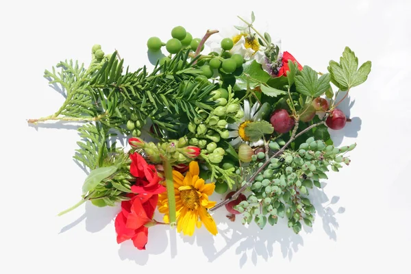 Verano plantas brillantes y flores son un ramo en una mesa blanca —  Fotos de Stock