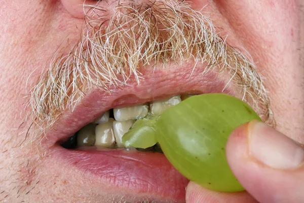 Gamla äldre mustachioed man tuggar druvor bär med gula sor — Stockfoto