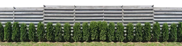 Cerca de una cerca rústica de madera de tablones grises horizontales, un ev verde —  Fotos de Stock