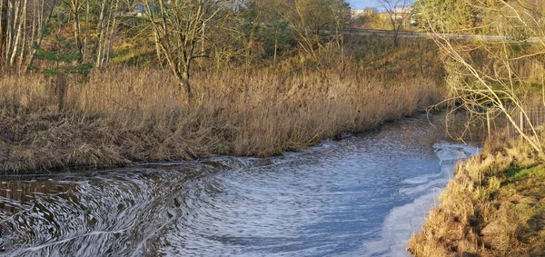 Брудні Відходи Міська Вода Єднується Чистий Лісовий Потік Пейзаж — стокове фото