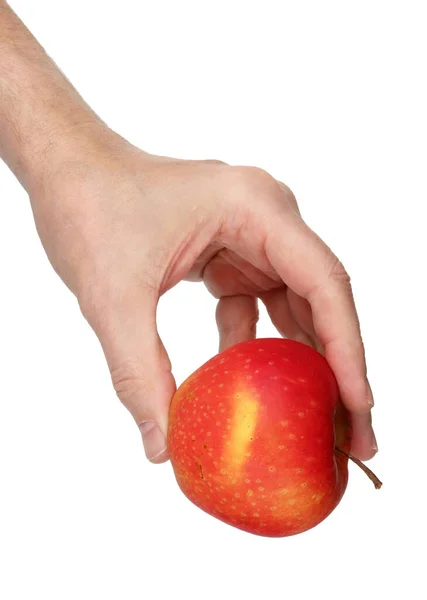 Man Håller Sin Hand Mogen Äkta Röd Äppelfrukt Isolerad Vitt — Stockfoto