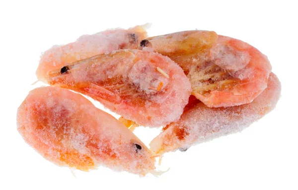 Frozen Boiled Small Sea Shrimp Isolated White Macro — Stock Photo, Image