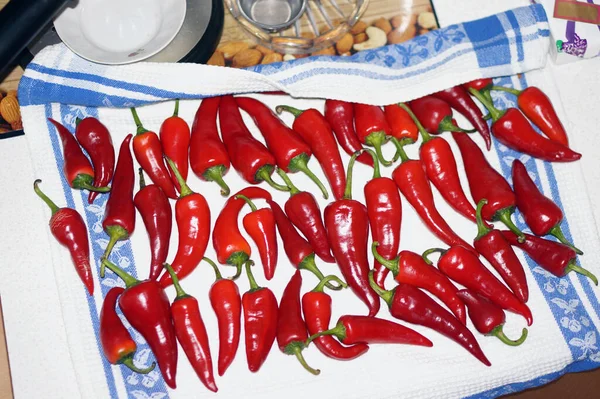 Cialde Peperoncino Caldo Stanno Asciugando Sul Tavolo Una Cucina Rustica — Foto Stock