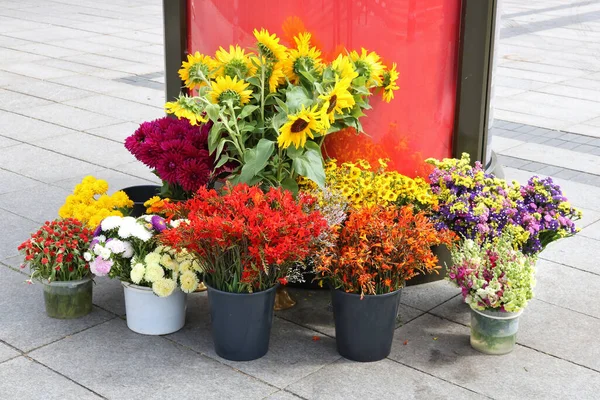 Flores Plantas Ornamentales Macetas Plástico Venden Calle —  Fotos de Stock