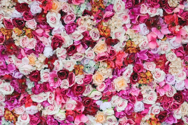 Floral Background Many Pink Roses — Stock Photo, Image