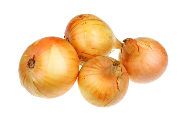 Big Golden Onion Bulbs Lie Table Isolated White Macro — Stock Photo, Image