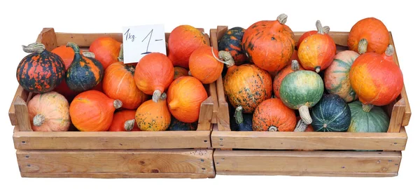 Small Orange Autumn Pumpkins Wooden Boxes Sold Street Isolated White — Stock Photo, Image