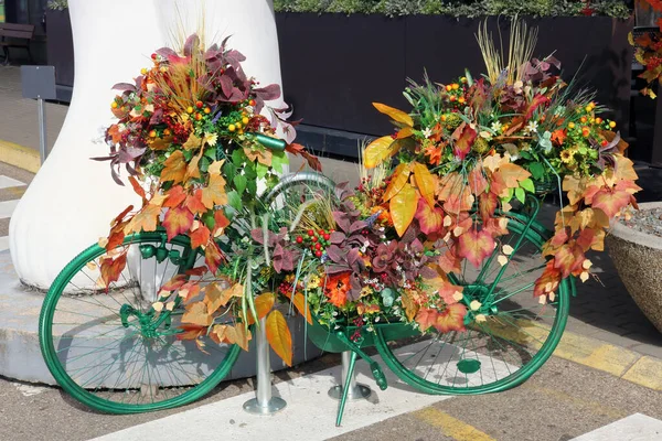 Старый Велосипед Покрашен Зеленый Осенние Цветы Листья Украшают Колеса — стоковое фото