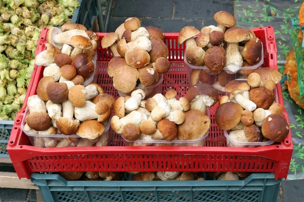 Funghi Porcini Freschi Autunnali Boletus Edulis Venduti Strada — Foto Stock