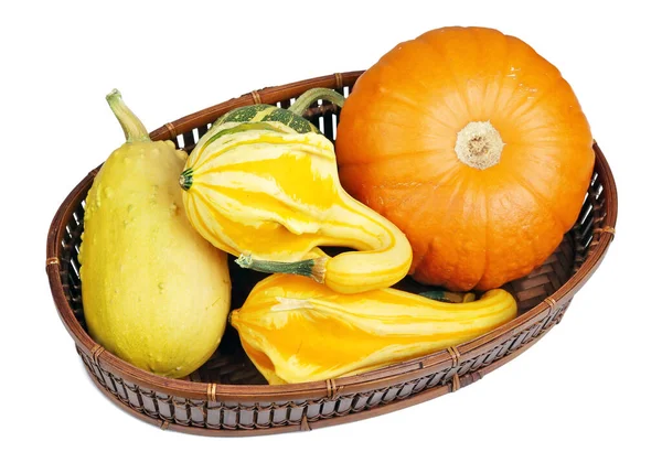 Small Decorative Autumn Pumpkins Basket Isolated White — Stock Photo, Image