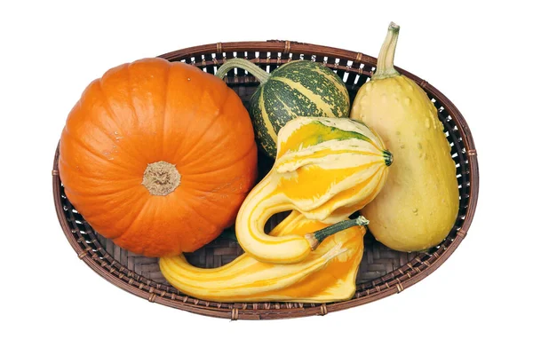 Small Decorative Autumn Pumpkins Basket Isolated White — Stock Photo, Image