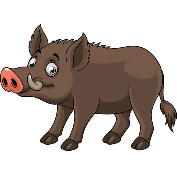 Cartoon Lustige Wildschweine — Stockvektor