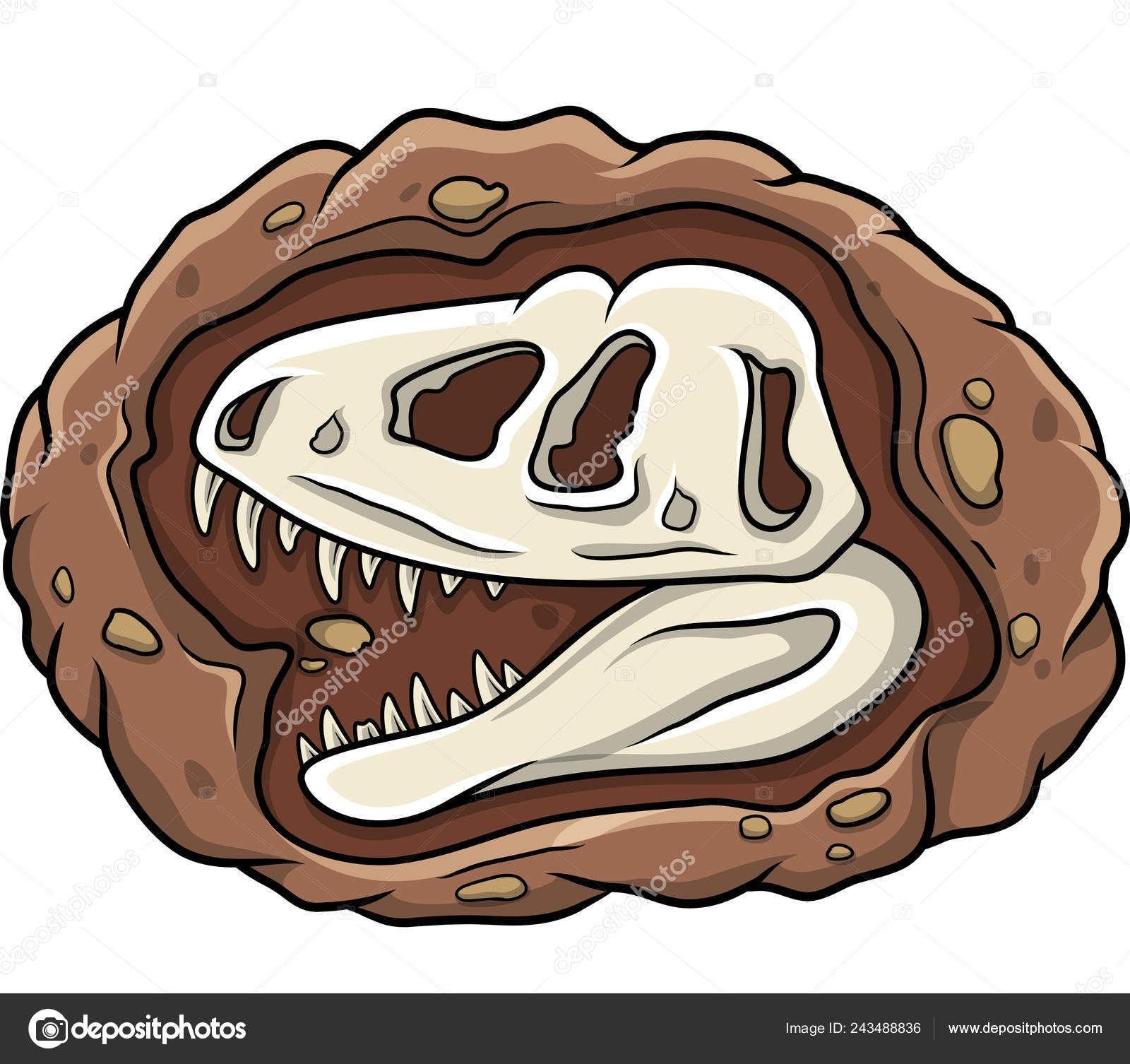 Cartoon Head Dinosaur Fossil Stock Vector by ©dagadu 243488836, image size:1600x1506