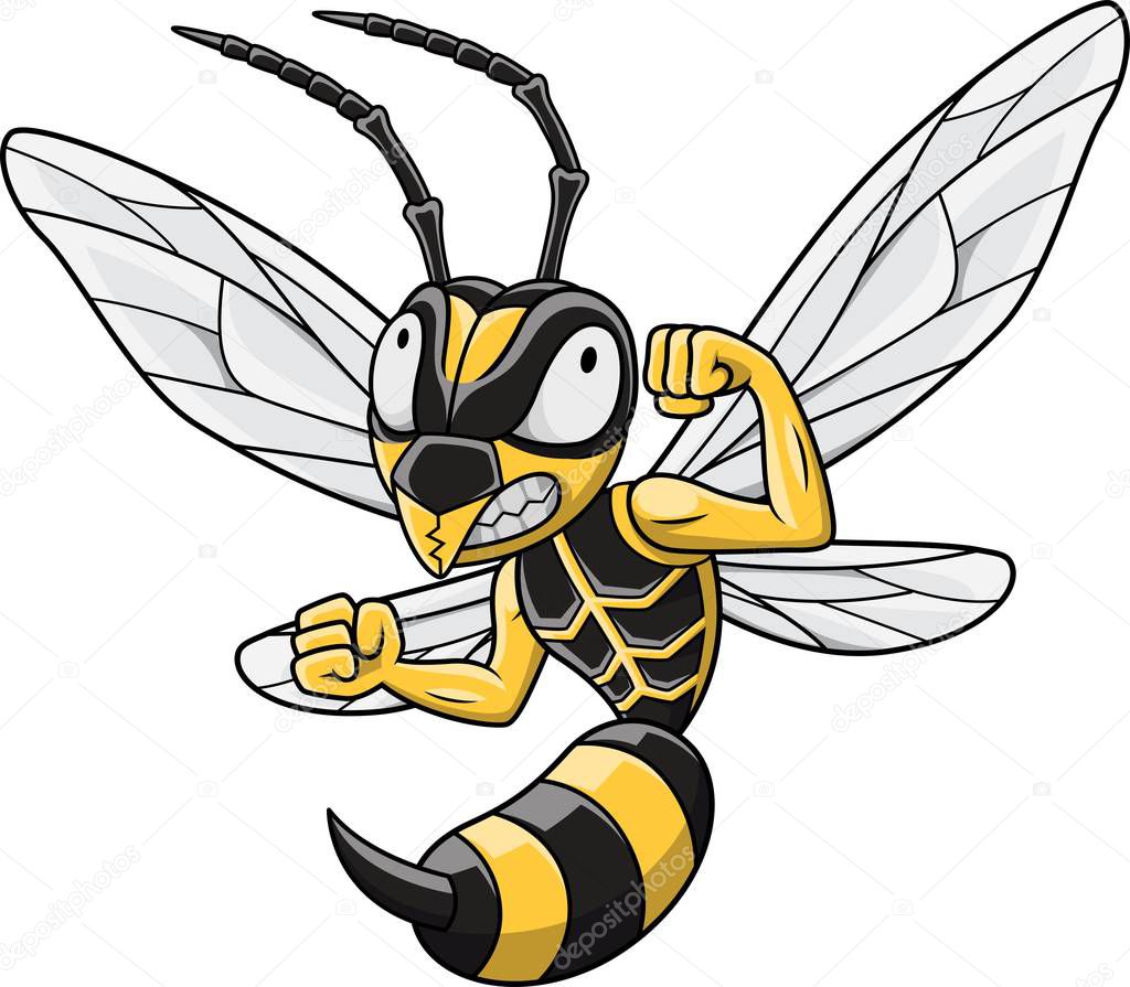 Cartoon Hornet mascot on white backgruond
