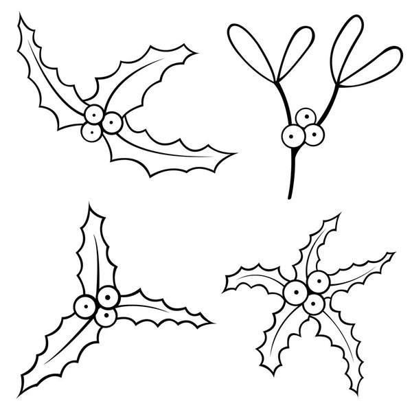 Set Van Maretak Geïsoleerd Wit — Stockvector