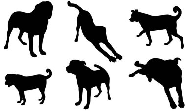 Farklı köpek siluetleri üzerinde beyaz izole kümesi
