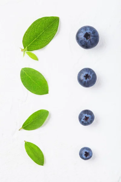 Fresh Raw Organic Blueberries Leaf White Background — Stock Photo, Image