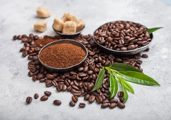 Свежий сырой органический кофе в зернах с молотым порошком и тростниковым сахаром кубики с листьями дерева кофе на светлом фоне кухонного стола . — стоковое фото
