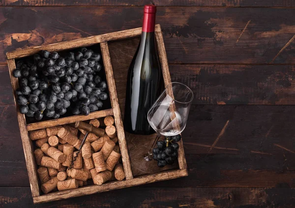 一瓶红酒和空玻璃杯,带黑葡萄,软木塞和软木塞在深色木制背景的老式木箱内。顶部视图 — 图库照片