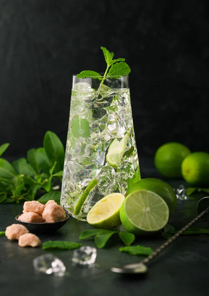 Copo Coquetel Mojito Com Cubos Gelo Hortelã Limão Sobre Placa — Fotografia de Stock