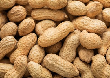 Çiğ kabuklu fıstık fıstığı üst görünüm makro arkaplan.