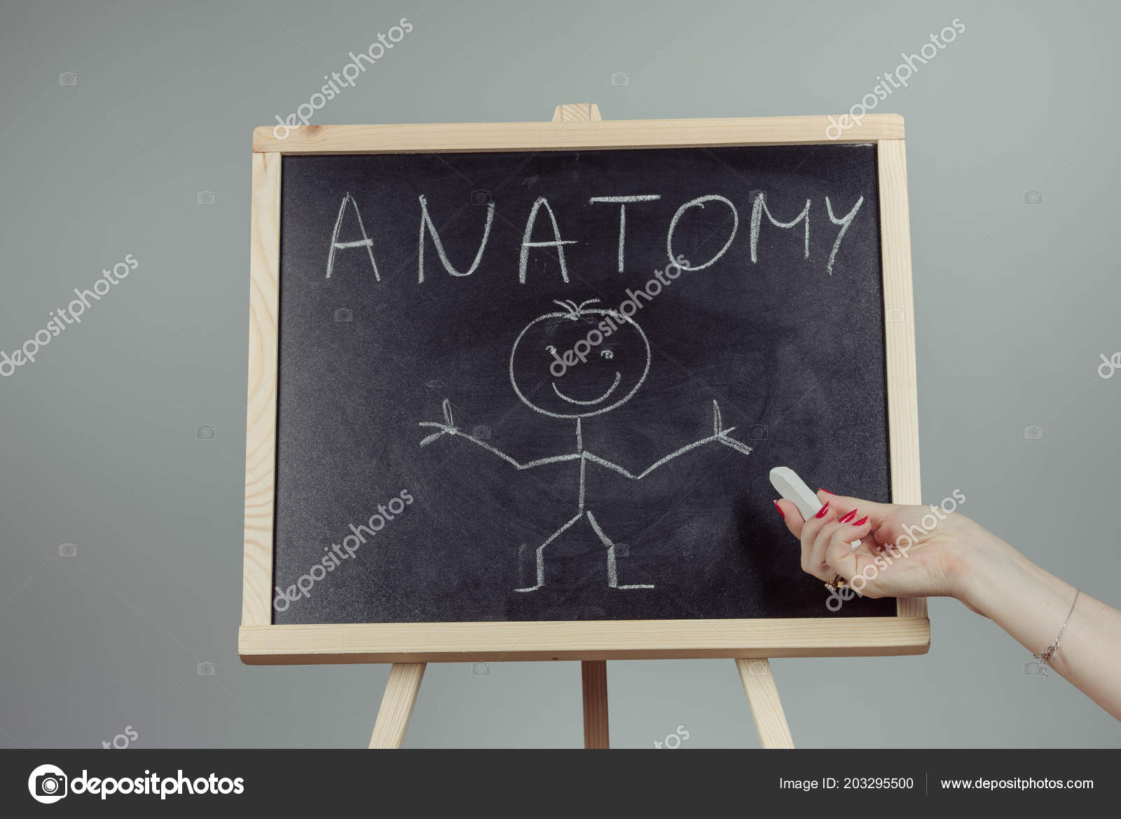 Mot Anatomie écrit Sur Tableau Noir Fond Gris Photographie