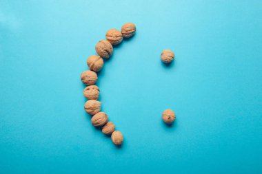 Ceviz, ceviz yakın çekim, mavi bir arka plan üzerinde ceviz