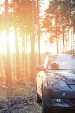 Gri hatchback arabası ormanın yanına park edilmiş.