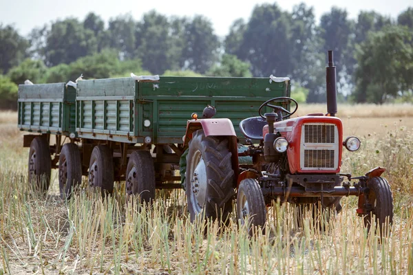 Karavanı buğday dolu küçük traktör.