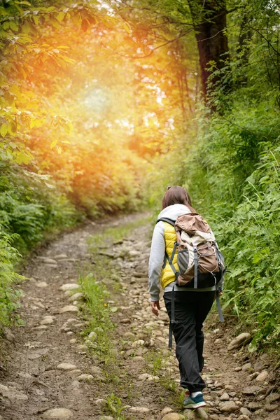 Brunetka Žena Pěší Turistika Stezce Letním Čase Tatranská Hora Polsku — Stock fotografie