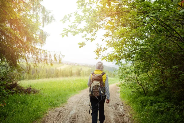 Esmer kadın yürüyüşçü yaz mevsiminde patikada yürüyüş yapıyor. Polonya 'daki Tatra Dağı.