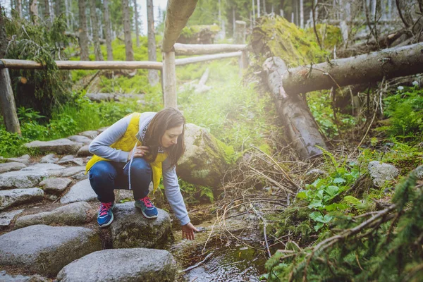 Mulher Morena Caminhante Caminhadas Trilha Hora Verão Montanha Tatra Polónia — Fotografia de Stock