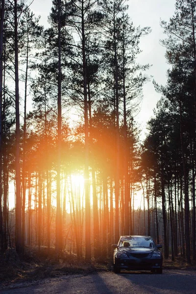 Gri Hatchback Arabası Ormanın Yanına Park Edilmiş — Stok fotoğraf