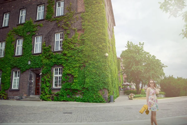 Vacker Flicka Sightseeing Gamla Slottet Krakow Wawel Sommartid — Stockfoto