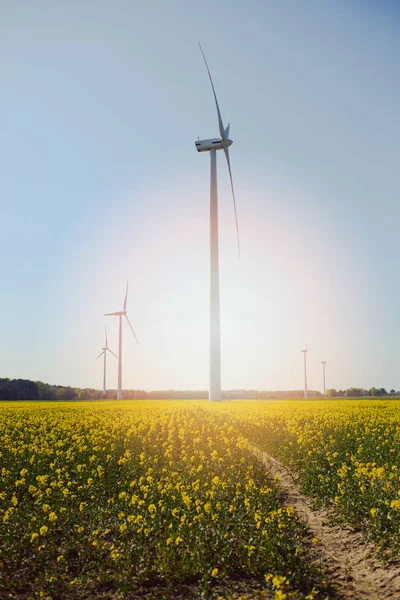 Cielo Blu Brillante Movimento Turbina Eolica — Foto Stock