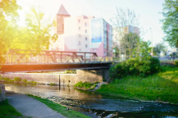 Lkbaharda Şehirde Küçük Köprü — Stok fotoğraf