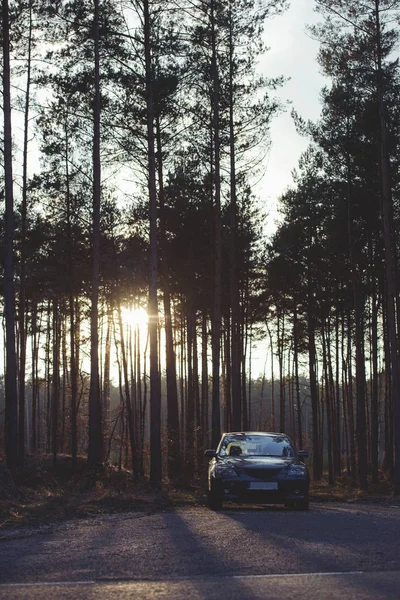 Gri Hatchback Arabası Ormanın Yanına Park Edilmiş — Stok fotoğraf