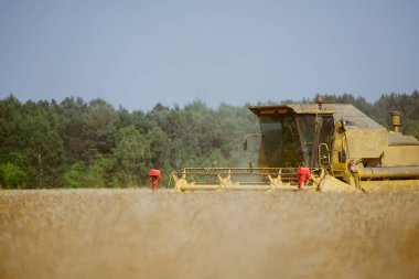 Yazın tecavüz alanının birleşimi.