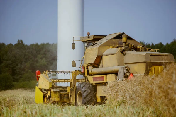 Combineer Het Oogsten Van Het Verkrachtingsveld Zomer — Stockfoto