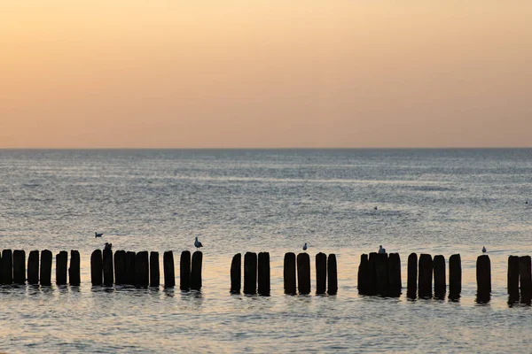 Drewniany falowodu o zachodzie słońca nad Morzem Bałtyckim — Zdjęcie stockowe