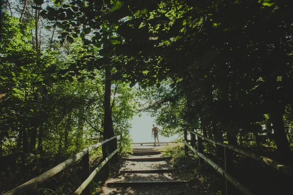 Man walking on a path through the forest