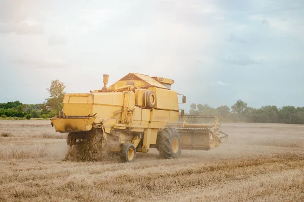 Velho amarelo combinar colheita de trigo no campo — Fotografia de Stock