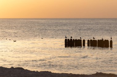 Miedzyzdroje plajda güzel gün batımında Baltık denizi. Polonya baltık sahili. Turist arasında ünlü şehir.